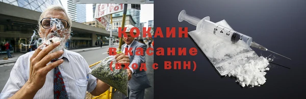 стафф Зеленокумск