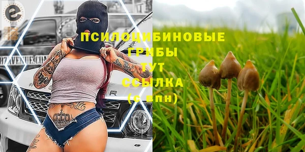 бошки Алексин