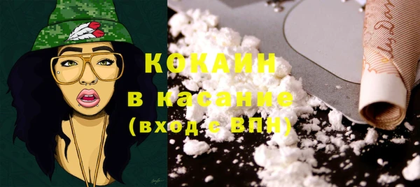 бошки Алексин